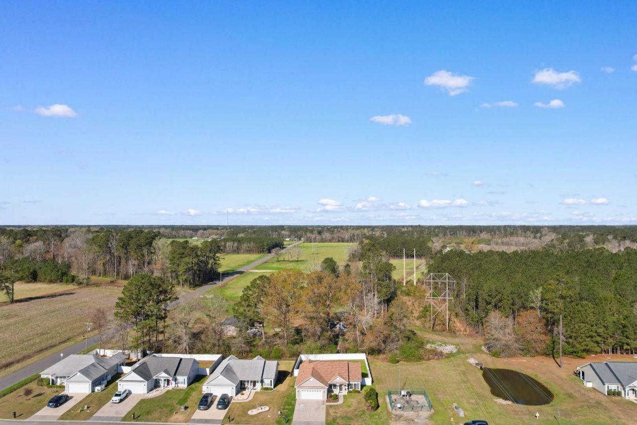 313 Basswood Ct. Photo 39