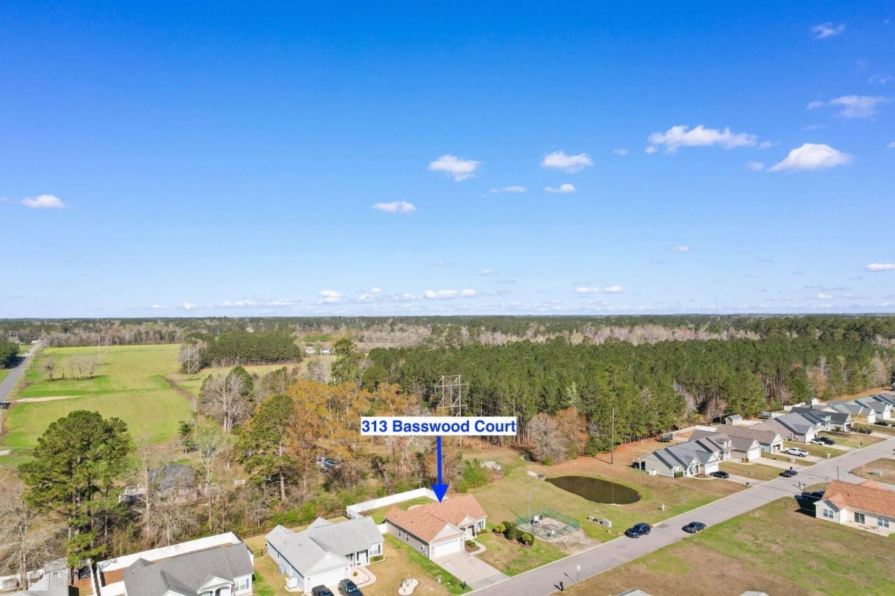 313 Basswood Ct. Photo 40