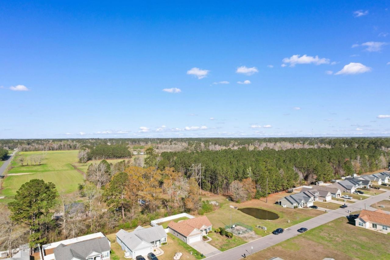 313 Basswood Ct. Photo 41