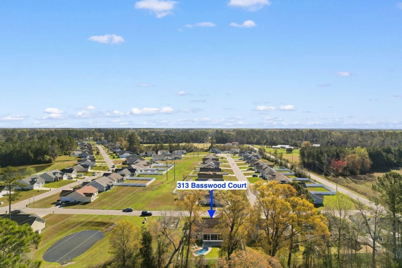 313 Basswood Ct. Photo 42