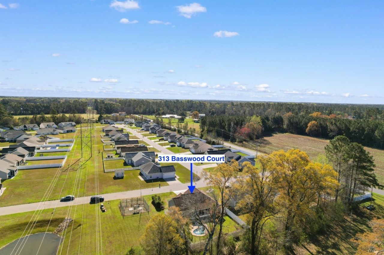 313 Basswood Ct. Photo 44