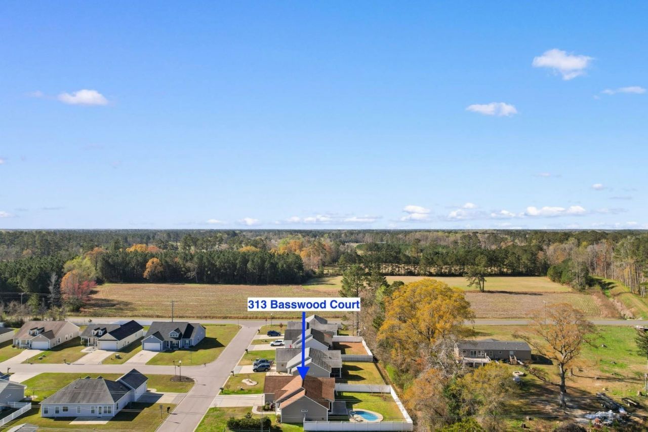 313 Basswood Ct. Photo 46