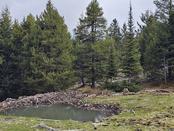 Tract 8,9,10 Garnet Range , Drummond, MT 59832