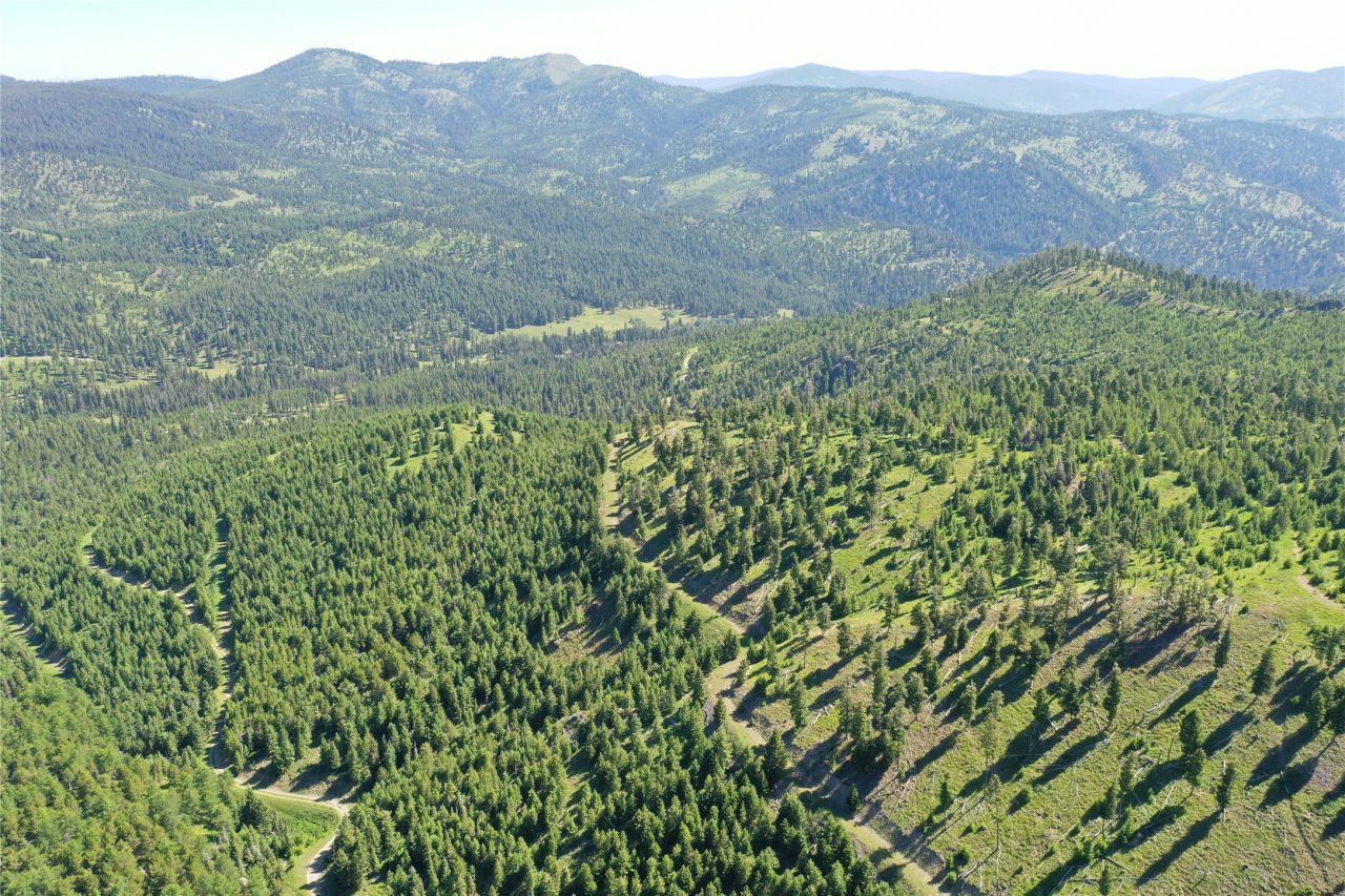 13 Tract, Garnet Range , Drummond, MT 59832 Main Photo