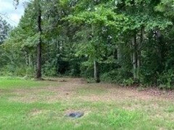 1114 E Shoreview Road, Mcdonough, GA 30253