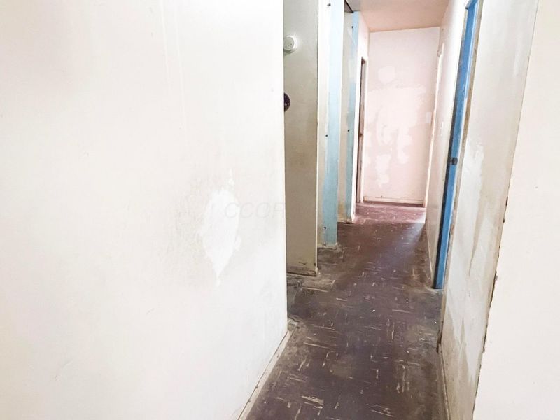 2676 Shelly Drive, Columbus, OH 43207 Photo 6