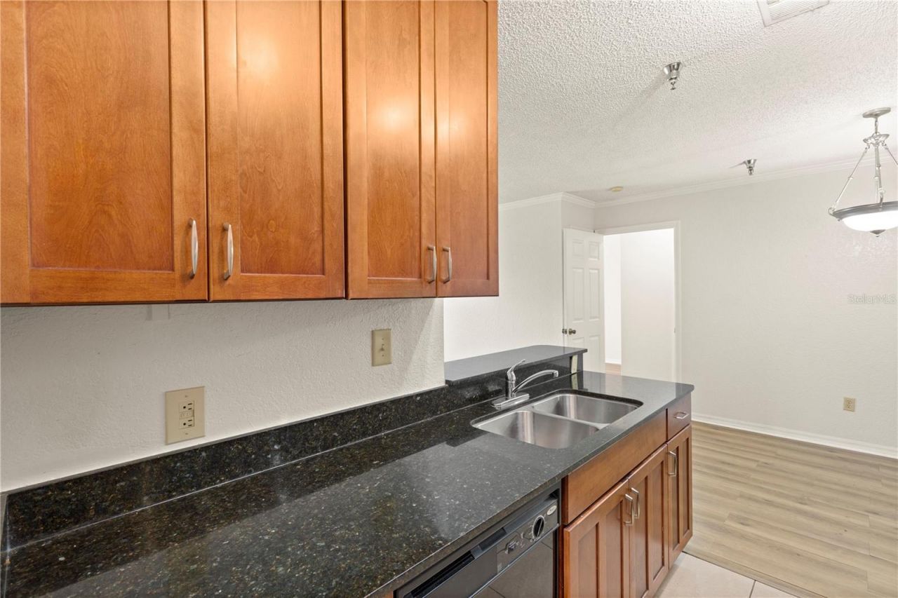 10265 Gandy Boulevard N, Unit 1401, Saint Petersburg, FL 33702 Photo