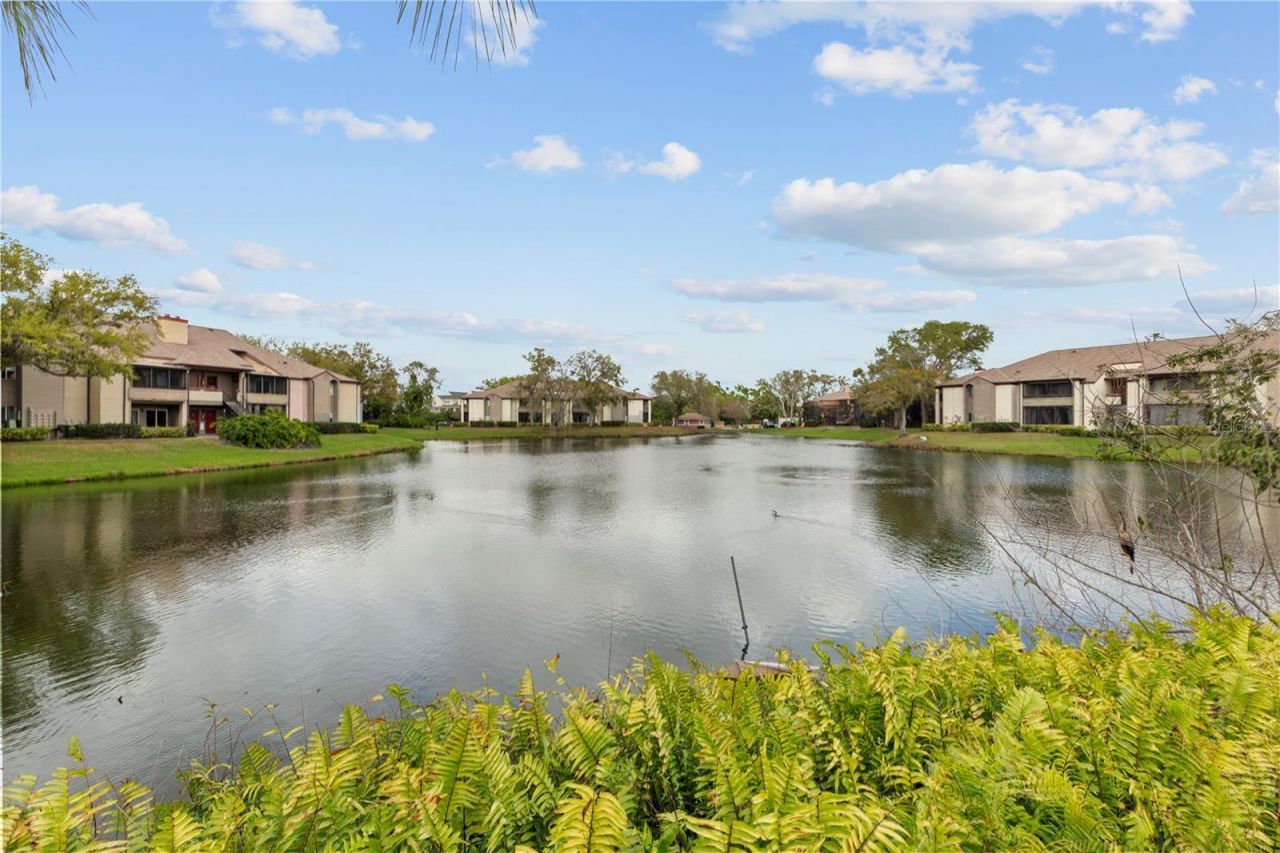 10265 Gandy Boulevard N, Unit 1401, Saint Petersburg, FL 33702 Photo