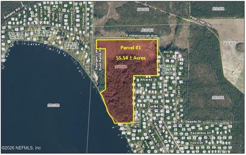 (parcel 1) E Hillsborough Avenue, Florahome, FL 32140 Photo