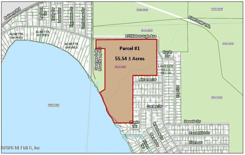(parcel 1) E Hillsborough Avenue, Florahome, FL 32140 Photo