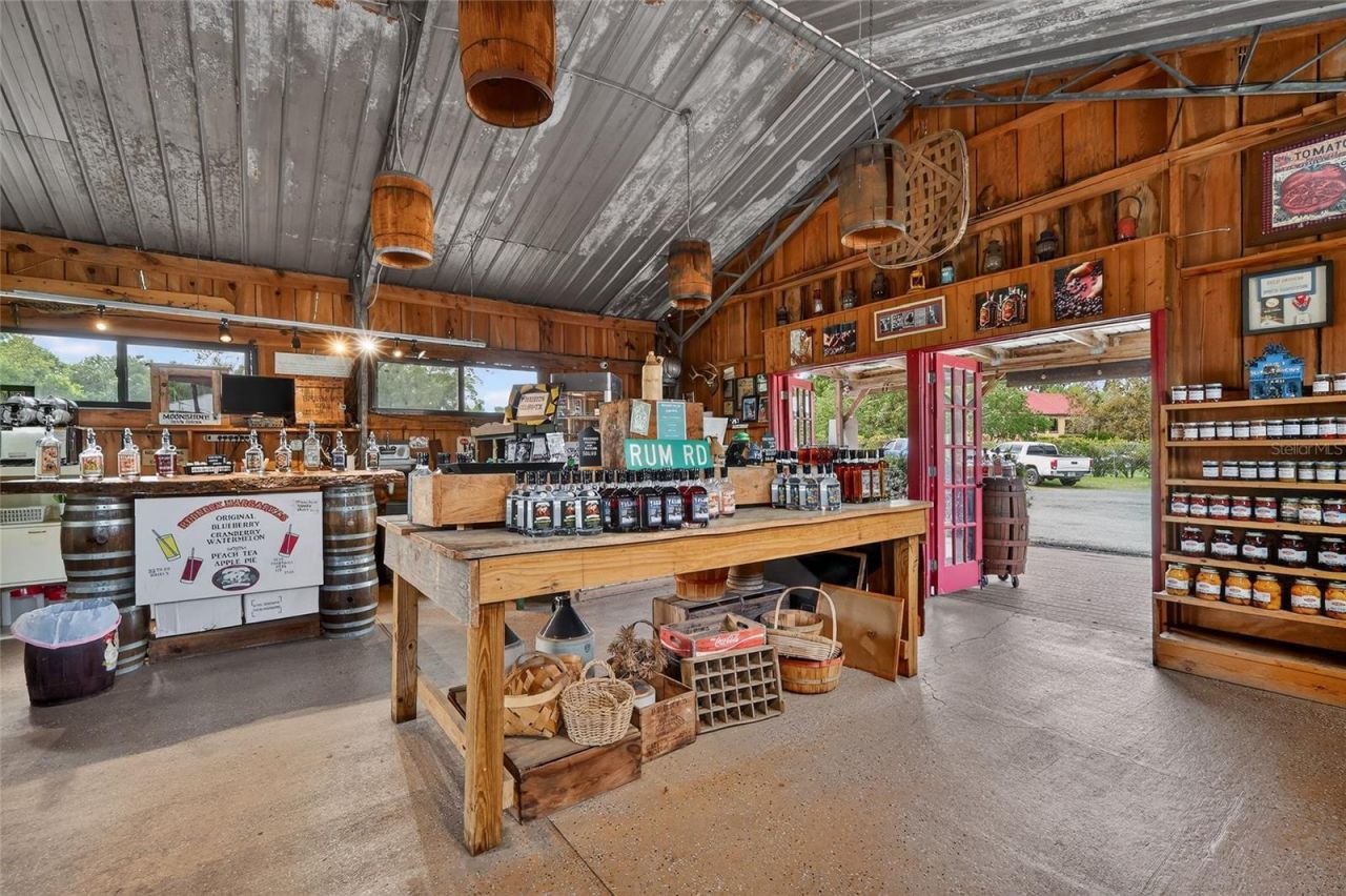 26921 Bloomfield Avenue , Yalaha, FL 34797 Photo