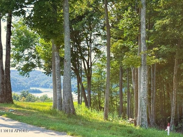 41B Bald Eagle Rd, Hilham, TN 38568