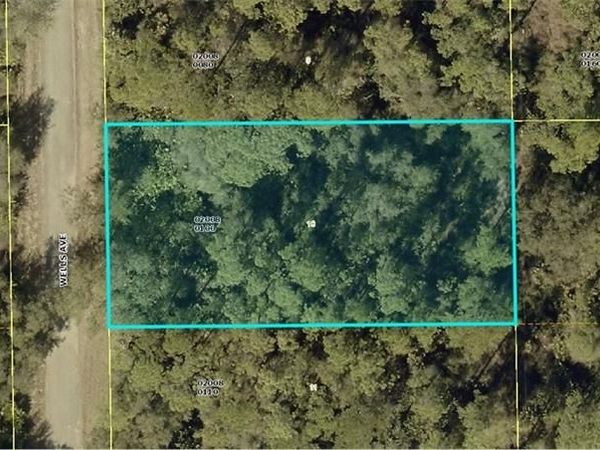 2004 WELLS AVE , ALVA, FL 33920