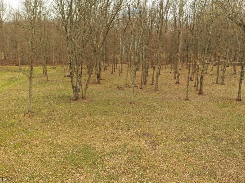 535 Bell, Columbiana, OH 44408 Photo 1