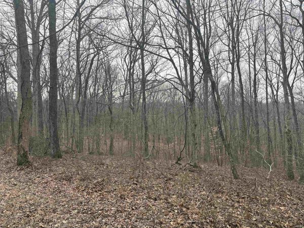 Campton Road, Birdseye, IN 47513