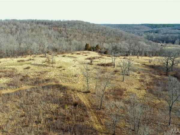 10331 Hopkins Road , Potosi, MO 63664