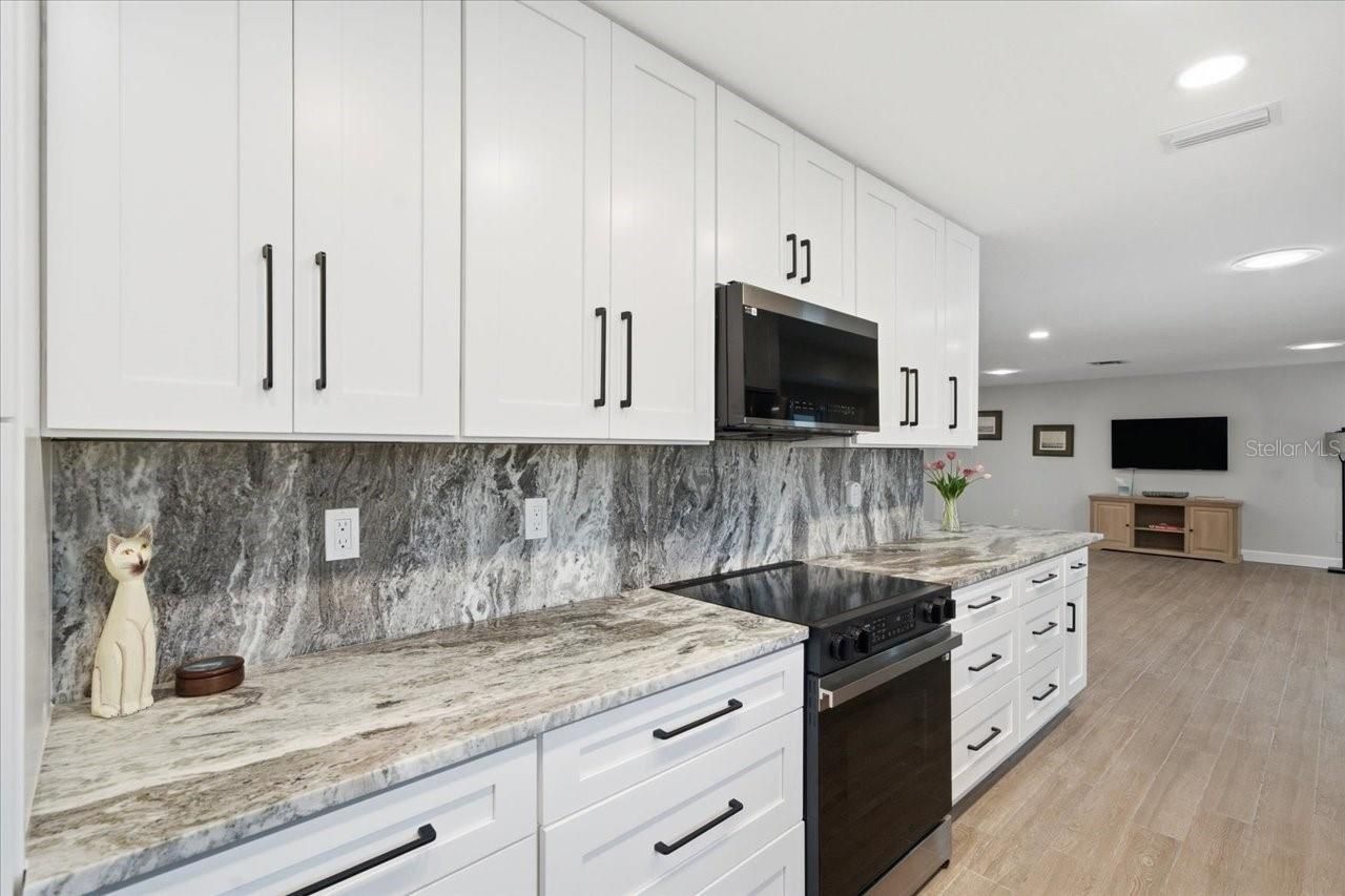 12212 Snead Place, Tampa, FL 33624 Photo