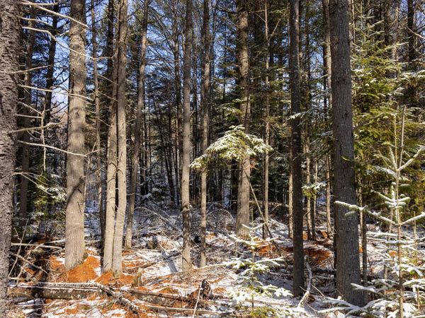 M11L3 Stud Mill Road , Milford, ME 04461