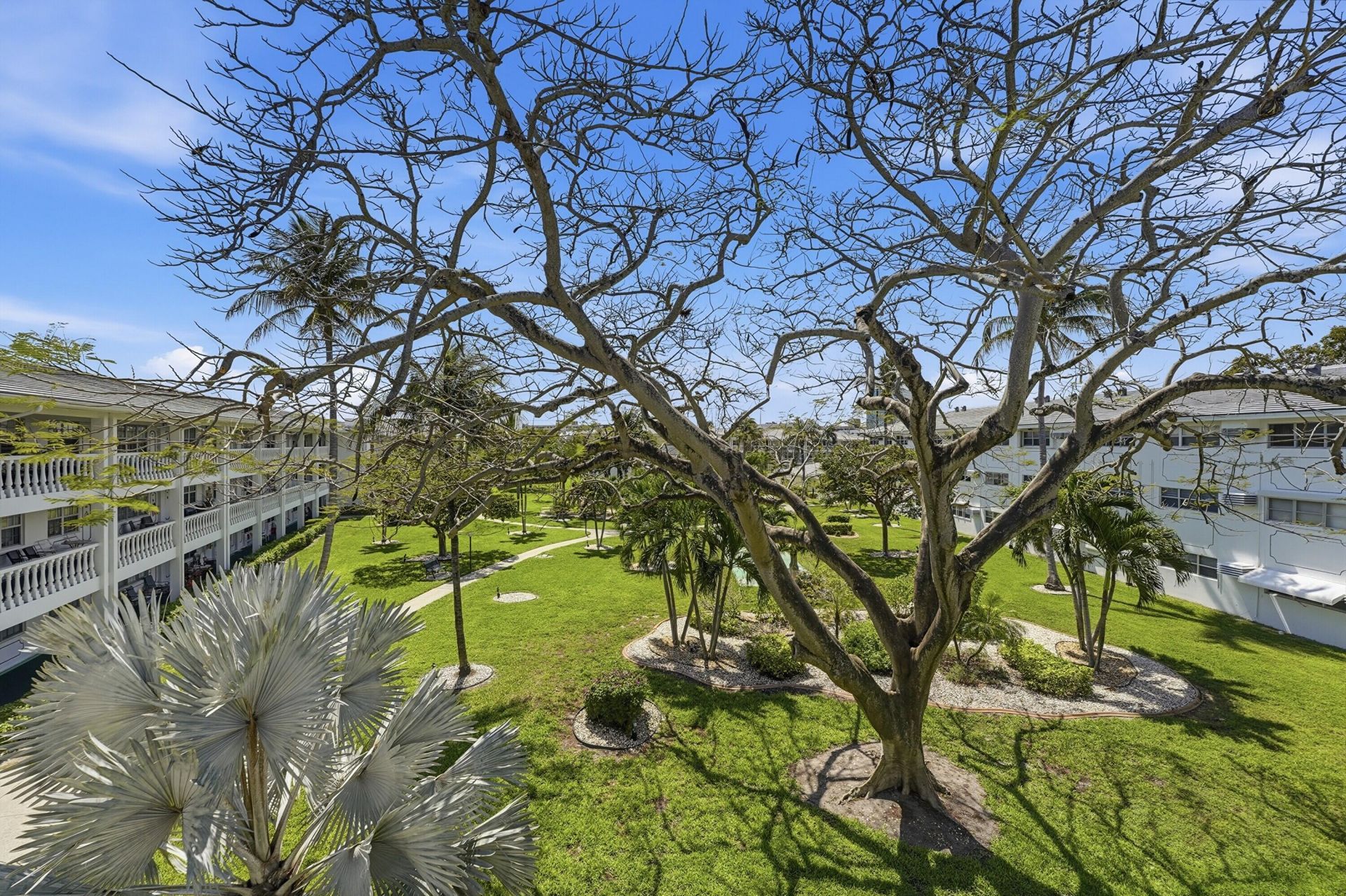 5208 NE 24th Terrace, Unit F314, Fort Lauderdale, FL 33308 Photo