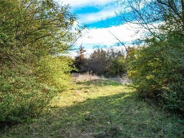 800 N Prairie Creek Road, Dallas, TX 75217