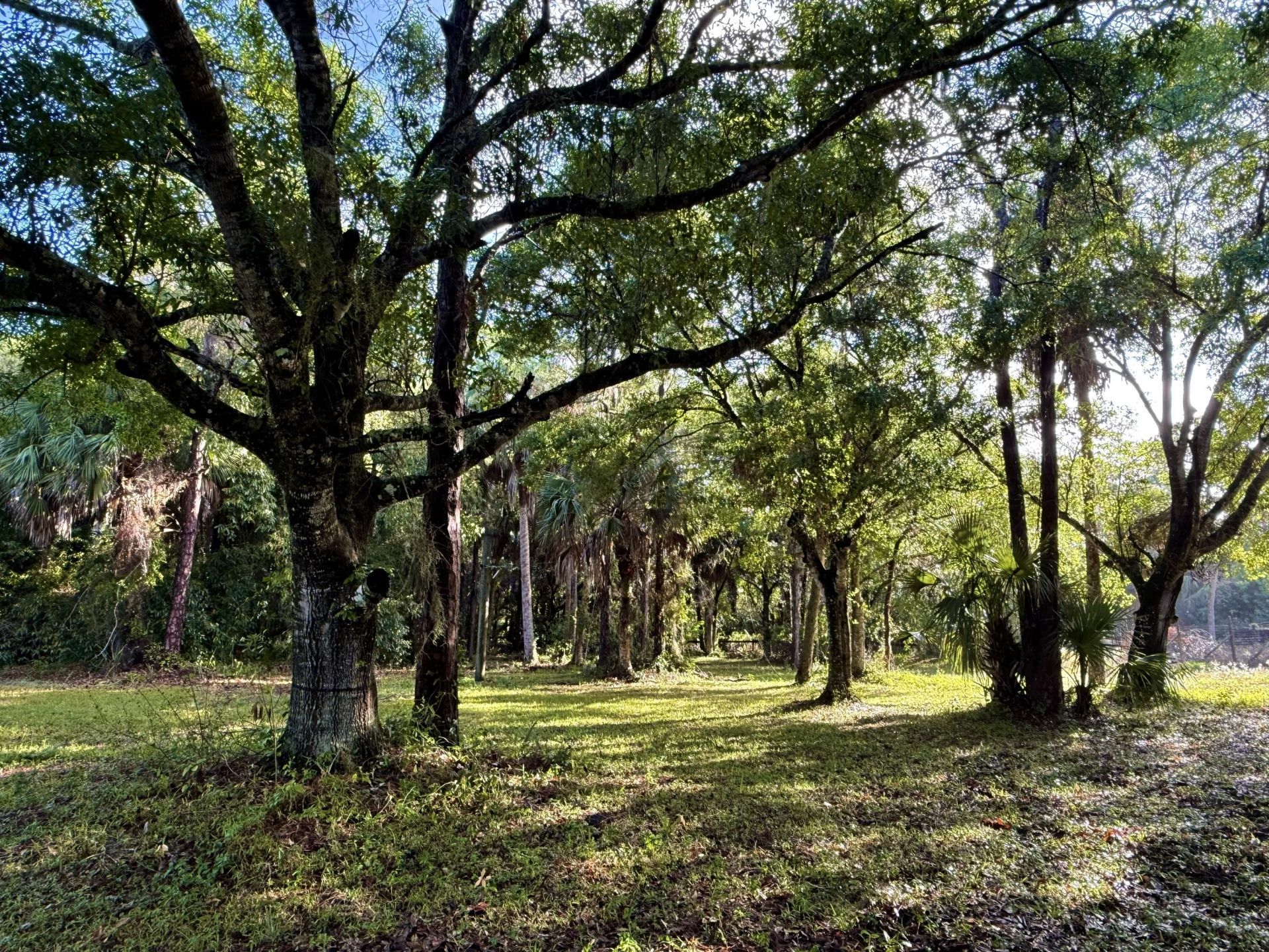 18122 Burr Oak Lane, Jupiter, FL 33478 Photo