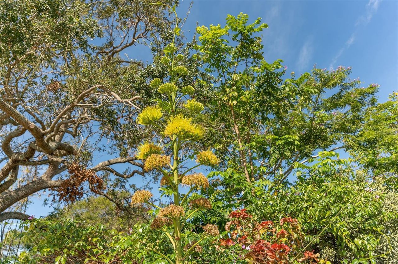 988 Blvd Of The Arts , Unit 1411, Sarasota, FL 34236 Photo