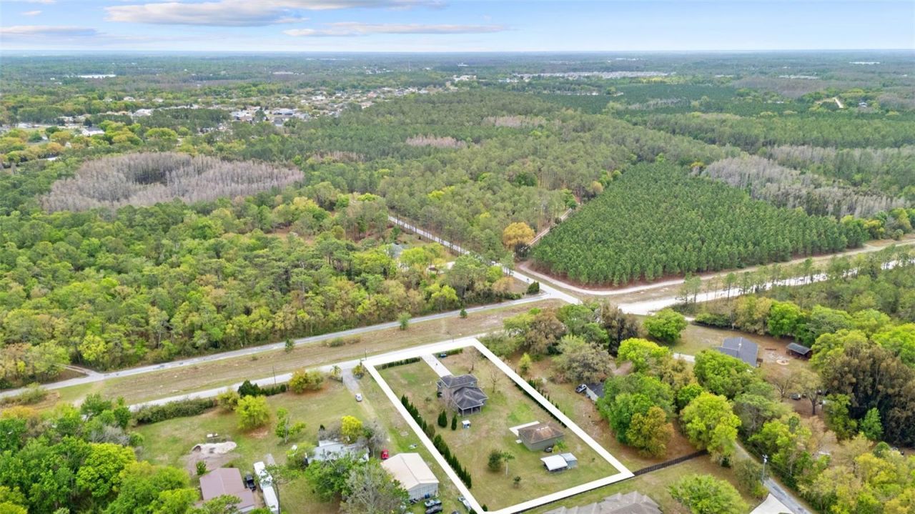 5533 Tower Road, Land O Lakes, FL 34638 Photo