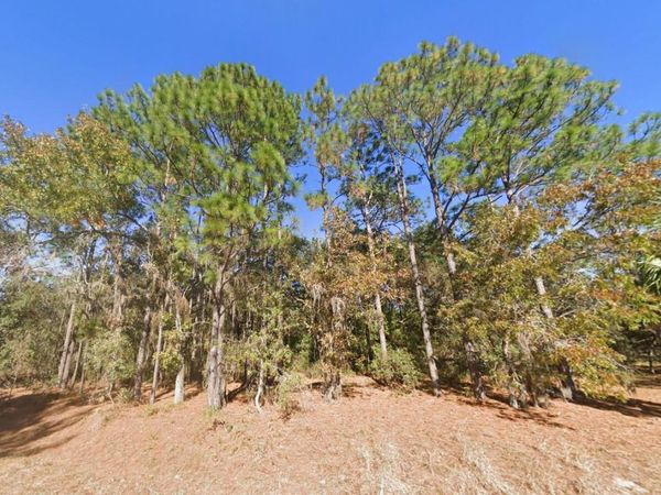 2284 COUNTY ROAD 243B , WILDWOOD, FL 34785