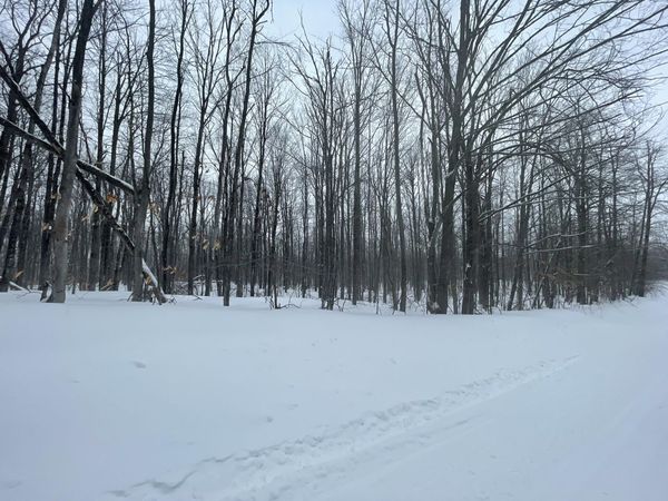 L 320-321 Whispering Pines Drive, Mancelona, MI 49659