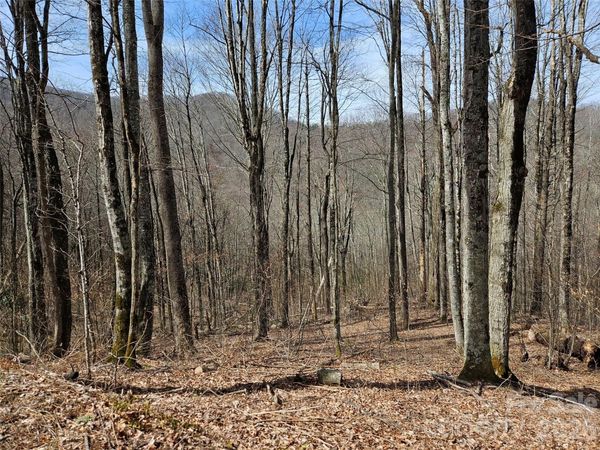 000 Forbidden Cove , Waynesville, NC 28785