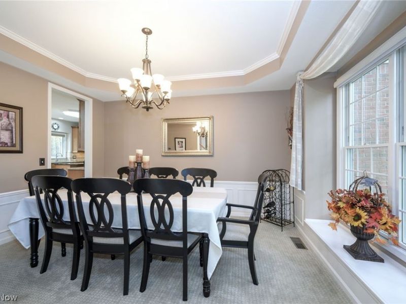 3163 Darien Lane, Twinsburg, OH 44087 Photo 13