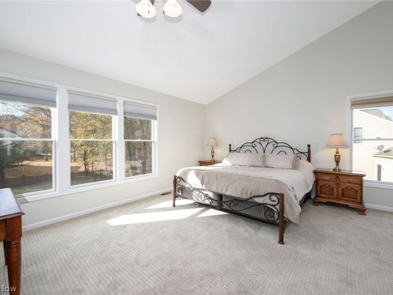 3163 Darien Lane, Twinsburg, OH 44087 Photo 22