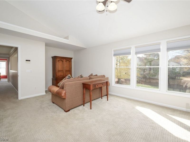 3163 Darien Lane, Twinsburg, OH 44087 Photo 23