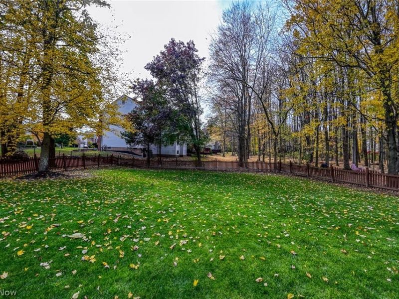 3163 Darien Lane, Twinsburg, OH 44087 Photo 46