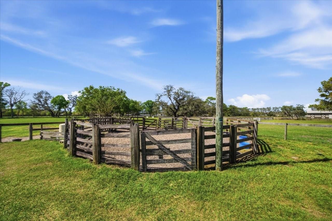 9449 Roberts Road, Odessa, FL 33556 Photo