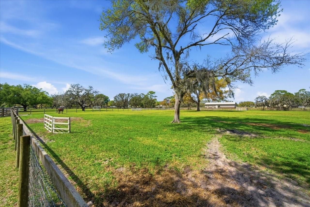 9449 Roberts Road, Odessa, FL 33556 Photo