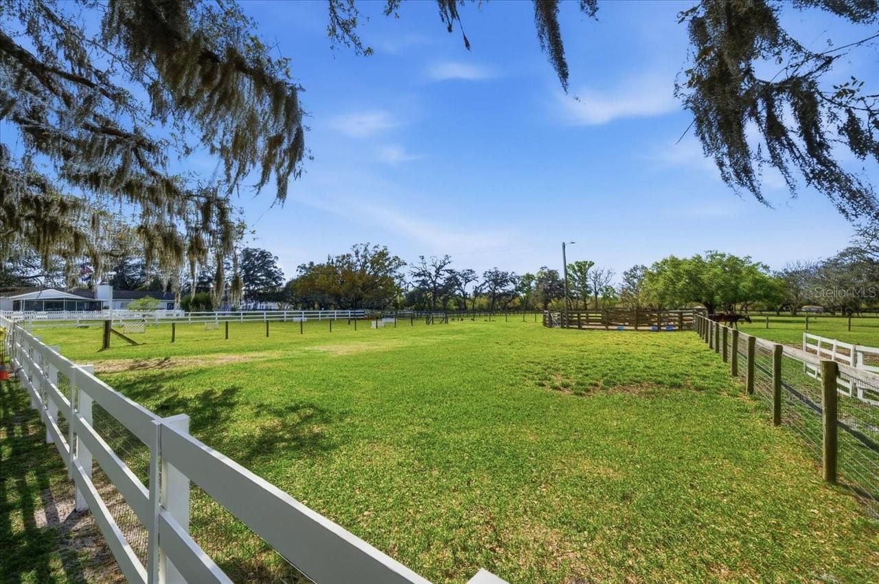 9449 Roberts Road, Odessa, FL 33556 Photo