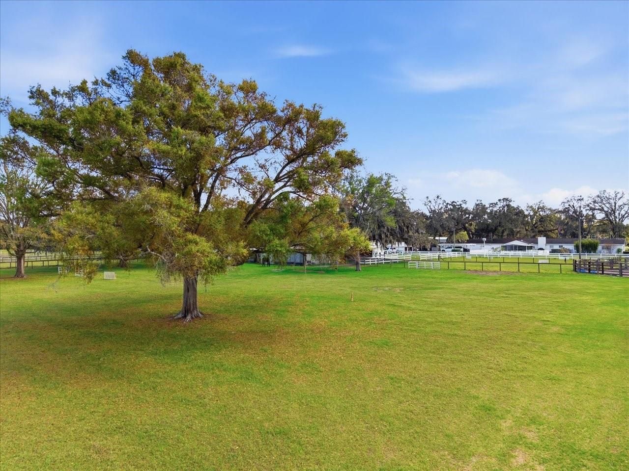 9449 Roberts Road, Odessa, FL 33556 Photo