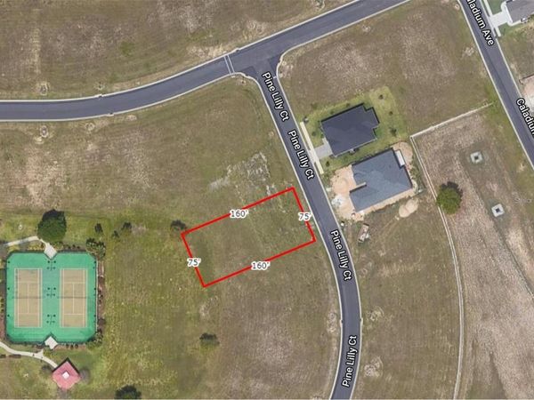 253 PINE LILLY COURT , LAKE ALFRED, FL 33850