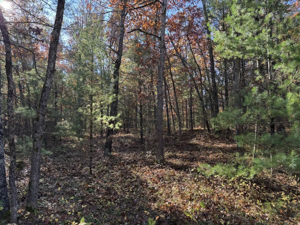 Parcel 5 County Line Road, Free Soil, MI 49411