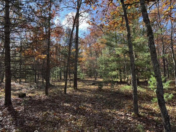 Parcel 6 County Line Road, Free Soil, MI 49411
