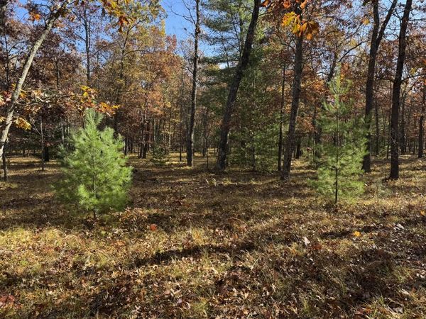 Parcel 7 County Line Road, Free Soil, MI 49411