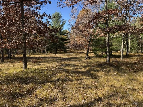Parcel 8 County Line Road, Free Soil, MI 49411
