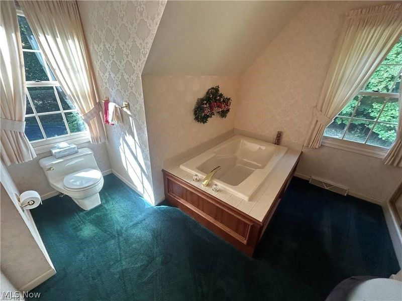 9230 Amber Wood Drive, Kirtland, OH 44094 Photo 21