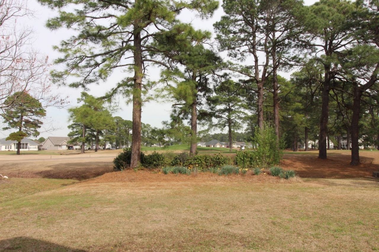 542 Sand Ridge Rd. Photo 5