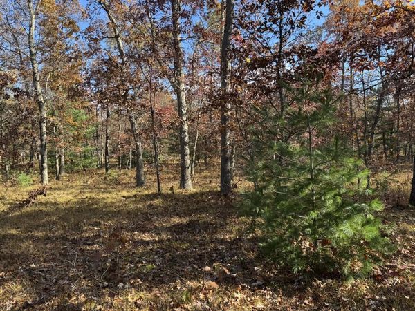 Parcel 9 County Line Road, Free Soil, MI 49411