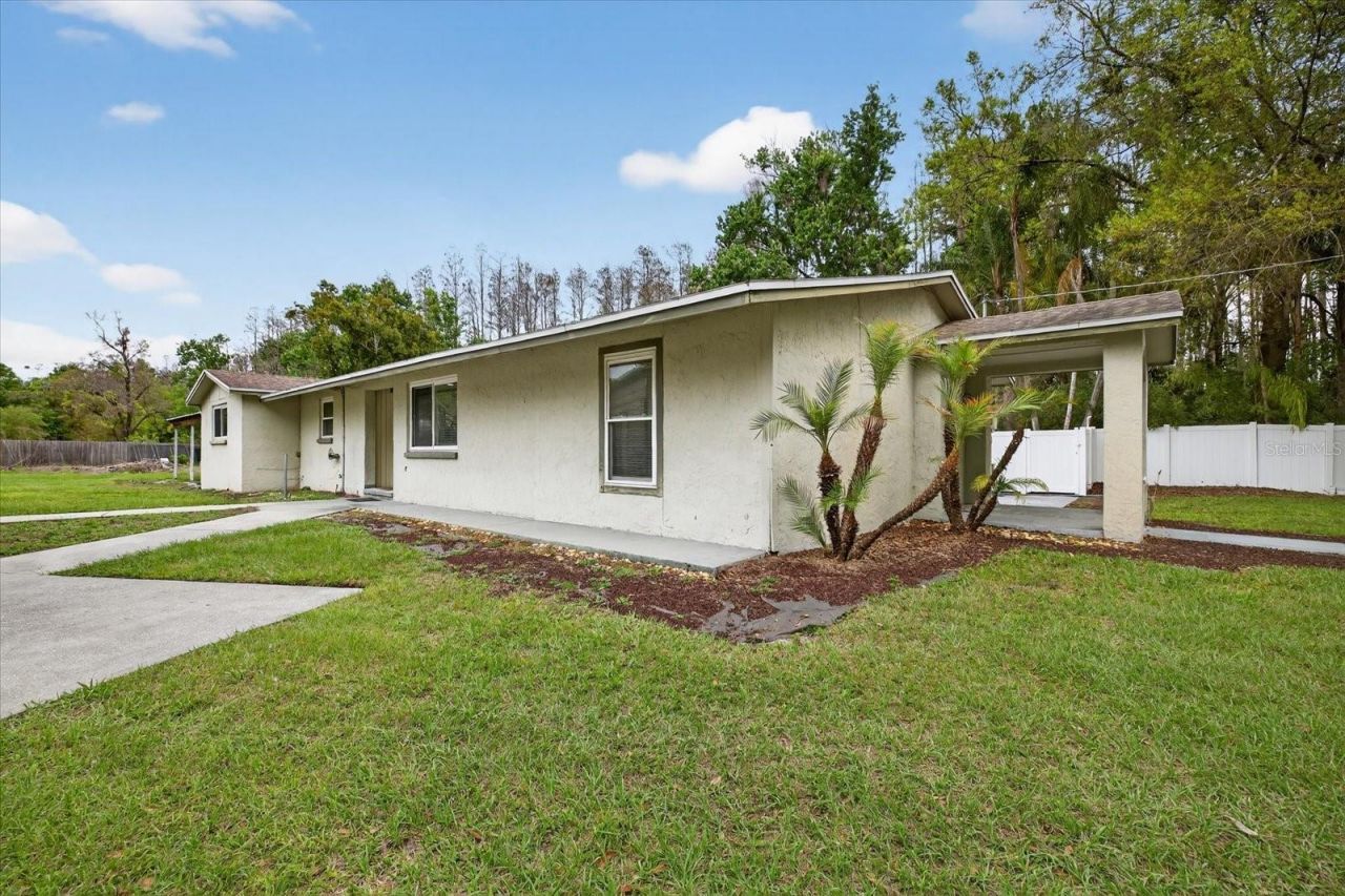19514 N Dale Mabry Highway, Lutz, FL 33548 Photo