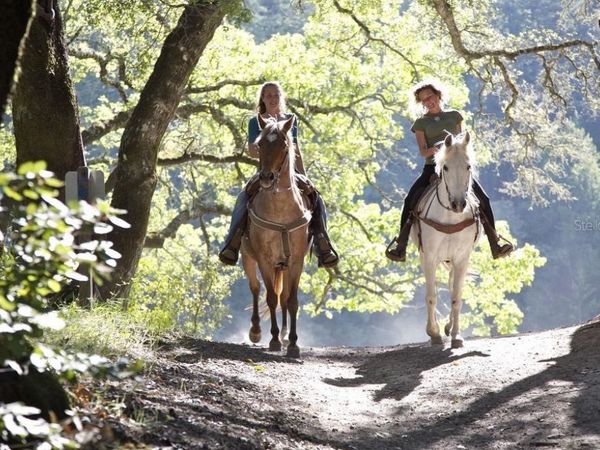 2353 W GREEN COURT , CITRUS SPRINGS, FL 34434