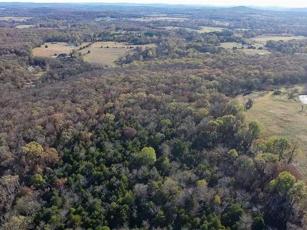 TBD Newton CR 8650 , Jasper, AR 72641