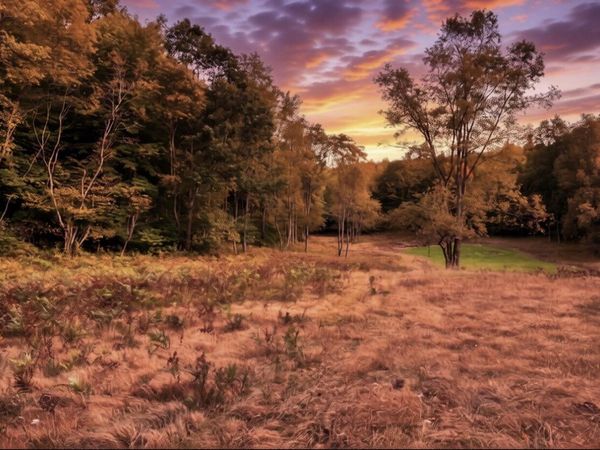 V/L 135th Avenue, Leroy, MI 49655